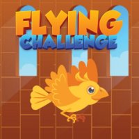 Flying Challenge Online Game