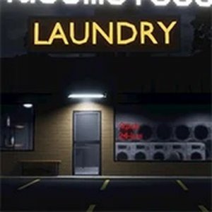 Late Laundry: Eerie Laundromat Action
