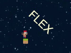 HardFlex: The Last Flex Online Game