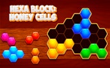 Hexa Block Honey Cells - Hexagon Puzzle Game