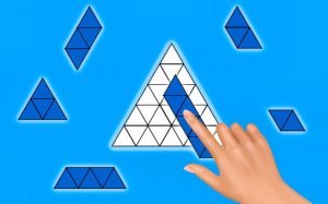 Puzzle Block Fill It Completely - Shape Filling Game