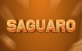 Saguaro Run - Cactus Jog Adventure Online Game