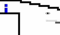 The Illusory Wall Puzzle Game