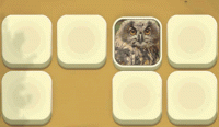 Zoo Match Memory Puzzle Game