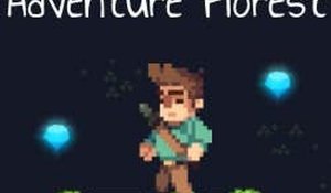 Adventure Florest Online Game